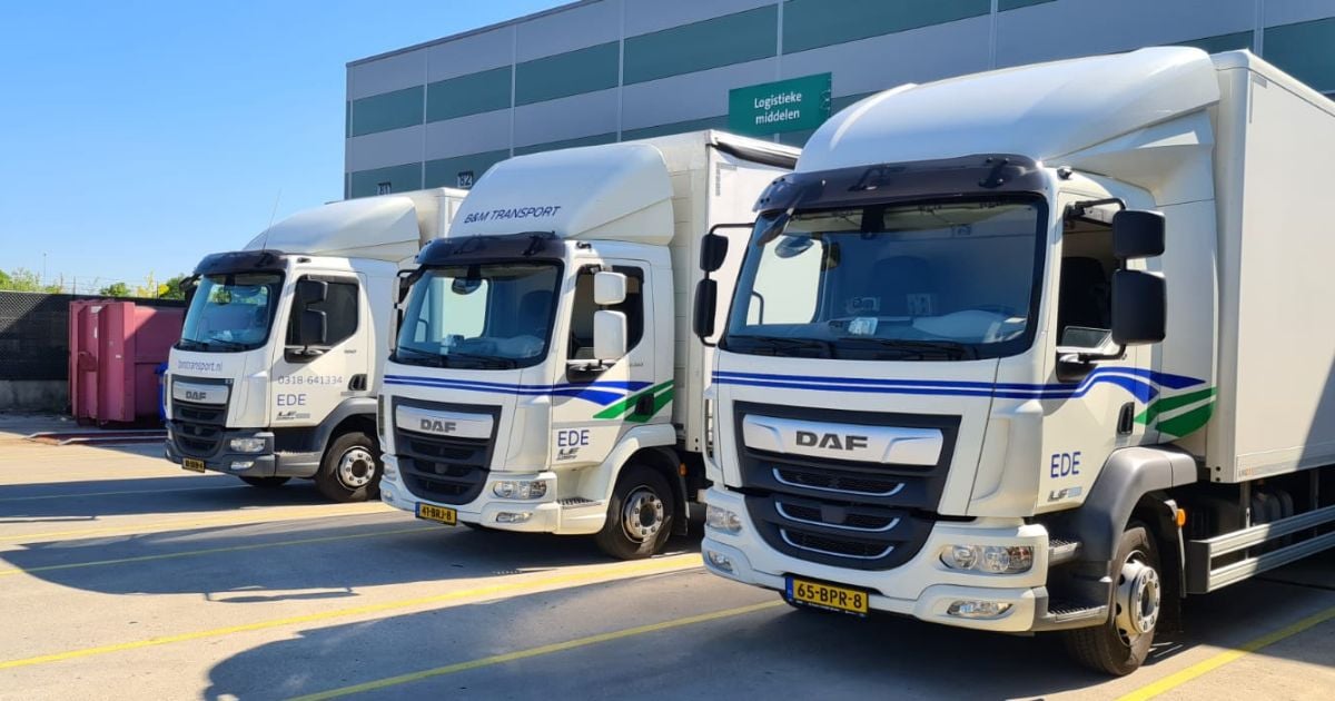 Rangée de camions DAF dans un dépôt