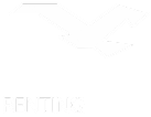 Logo van NS Express Renting