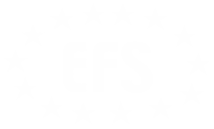 EFS Global logo