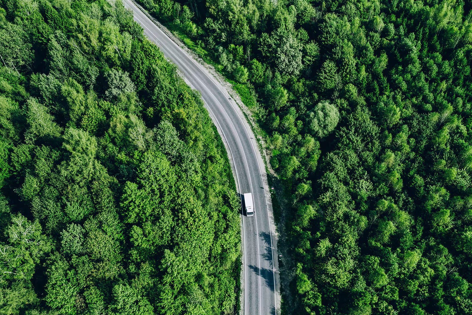 Vue aérienne d'un camion sur une route traversant une forêt