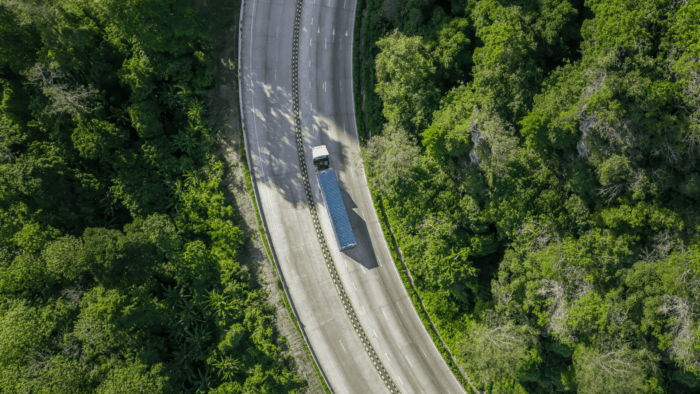 truck driving through forest